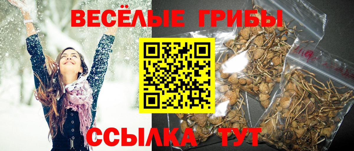 Галлюциногенные грибы мицелий  Вход с VPN  Верхняя Пышма 